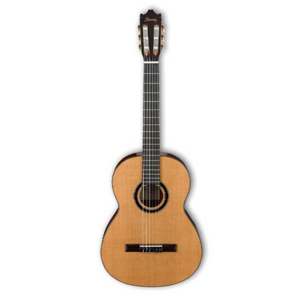 قیمت خرید فروش گیتار کلاسیک  Ibanez GA15 NT